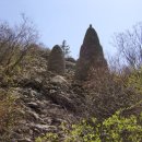 팔공사슴농장 이미지