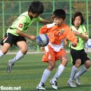 설천체육공원 이미지
