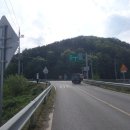 구지면사무소 Daum카페