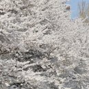 문화예술공원2 이미지