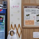 유자먹인민물장어