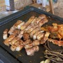 둥지별곡 이미지