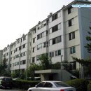 강남-204 이미지