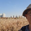 봉화3길 이미지