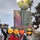 진주실내체육관 | 나훈아 라스트 콘서트 후기 /진주 실내체육관에서 친정 언니들과 함께 /아들의 생일 선물/1일 1캘리...