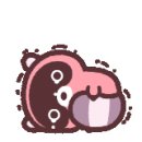 정우현상소