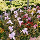 원복농장 이미지