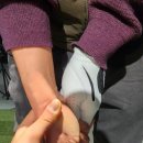 EH골프스튜디오 이미지