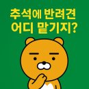 반려견 돌봄센터 일구삼 | “추석 연휴, 반려견 맡길 곳 없다면?무료 돌봄센터 확인하세요