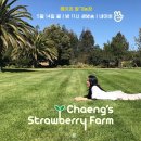 브이농장 이미지