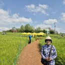 홍성(목포) 이미지