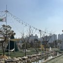 선양캠핑장 | 도심 근처 야외에서 고기구워먹고 힐링가능한 캠핑장, 지지 아일랜드 캠핑 바베큐장(feat.애견동반...