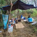 남한강낚시 이미지