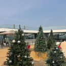 1376 | 함안대형카페 정원이예쁜카페 뜬