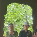 대전둘레산길(8구간) 이미지