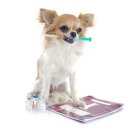 우리아이동물메디컬센터 이미지