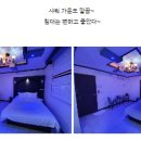 사파리모텔 이미지