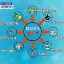 비타나무