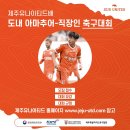 제주공천포전지훈련센터 인조잔디구장 이미지