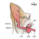 삼산 동물약국 이미지