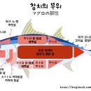 오도로참치 이미지