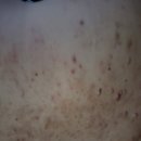 매화둠벙마을 영농조합 Daum카페