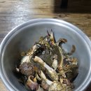 바위솔펜션 | 너무좋았던 소난지도 바위솔펜션 후기