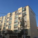 삼덕진주아파트 이미지