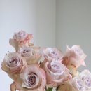 효창농장 이미지