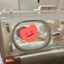 아인병원 제왕절개 출산 후기