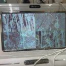 멍헤어 애견미용실 이미지