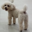 양정유치원 이미지