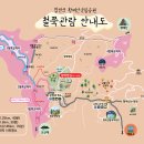 콘서트 가을 | 2026 황매산 철쭉축제 실시간 개화현황 + 주차 팁, 먹거리, 옷차림 총정리 (2026.04.28 방문)