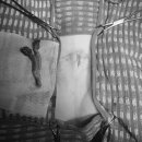 하나카동물병원 이미지