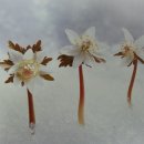 봉수면사무소 이미지