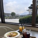 효성노인문화센터 앞(교통섬) | [2025] 일본 가고시마 2박 3일 여행_2일차 기록