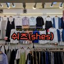 동대문 빅사이즈 여성 큰옷 쉬즈 여름옷 블라우스 셔츠 득템 후기!