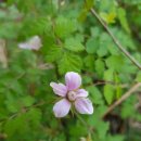 신창 그리고 제주 이미지