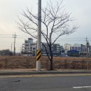 보라해링턴플레이스입구 삼거리 이미지