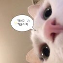 다들 기다렸자나 맞자나 !
