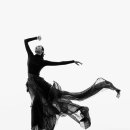 디딤(한국무용) 이미지