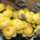 꽃향기머무는집 이미지