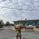 동물원 | 아기랑 일본 여행 구마모토 동물원 방문 후기