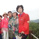 삼영목장 이미지