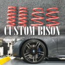 엔알스포츠 | BMW M2 서스펜션 튜닝, H&R(에이치엔알) 다운스프링 장착 by 일산 커스텀바이슨