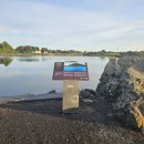 식산봉의 황근자생지 및 상록활엽수림 | [문화유산_91 &amp; 제주해리티지] 제주여행 2일차 제주시지역 문화유산_0902