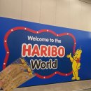 고다 하우스 이미지