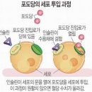 한끼두끼 이미지