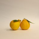 석희농장 이미지