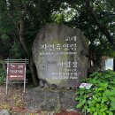 느랭이골 자연휴양림 일반야영장 | 제주도 교래자연휴양림 야영장 데크 사이트 추천, 원두막C형 11 솔직후기